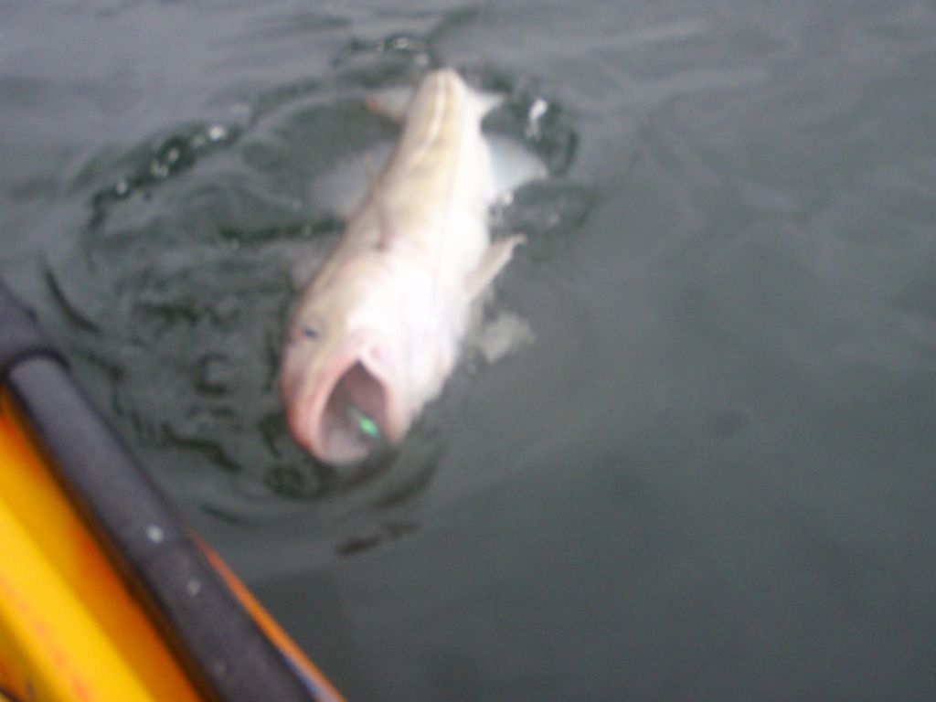 P1010337.jpg