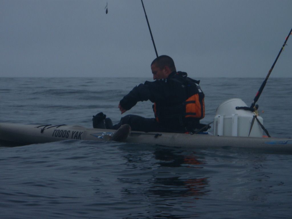 P1010346.jpg
