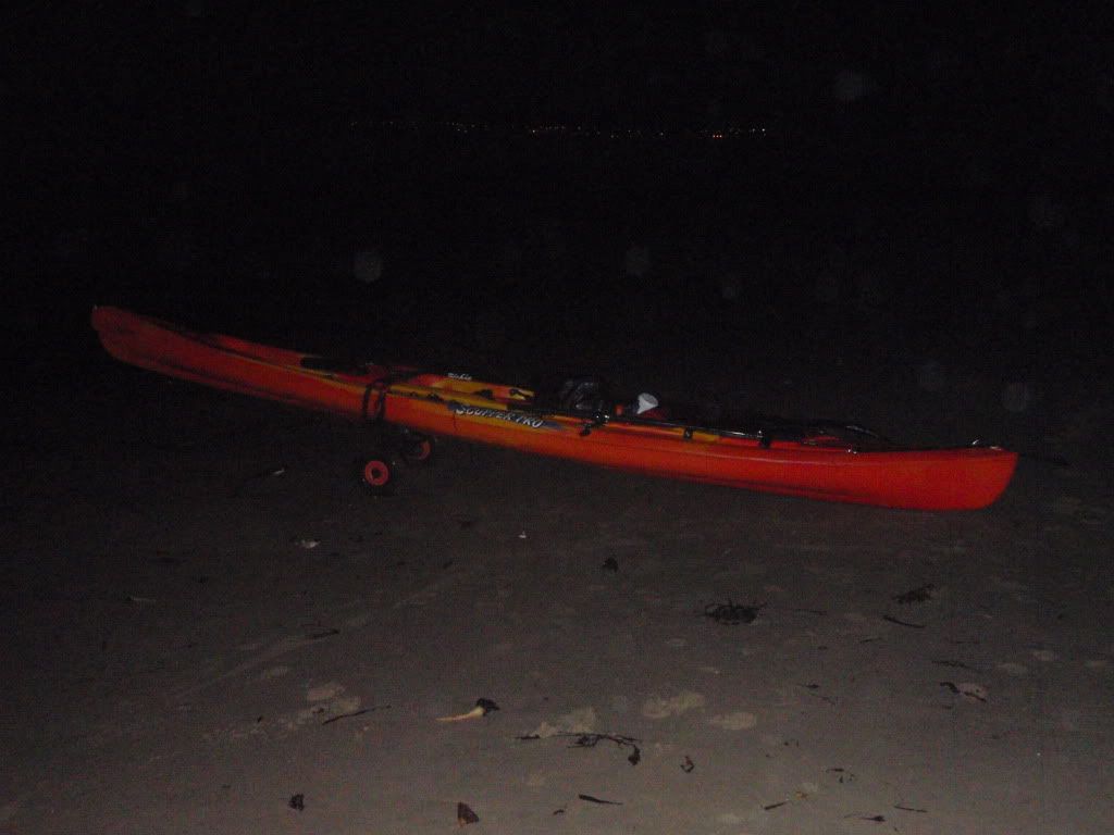 P1200136.jpg