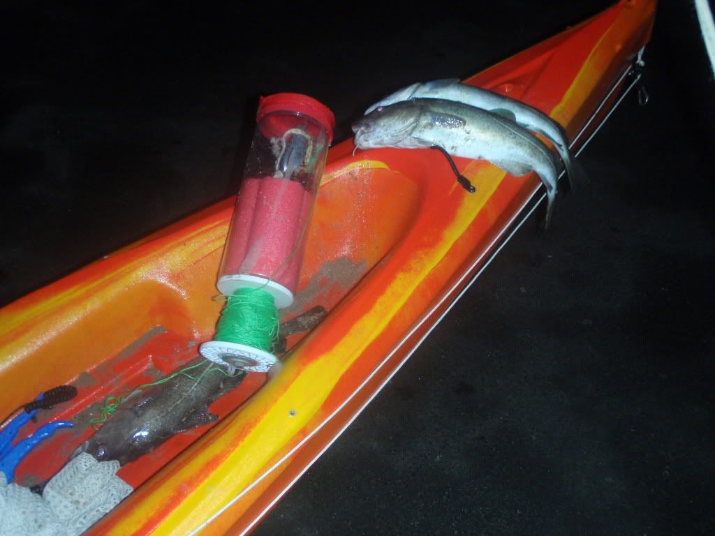P1250155.jpg