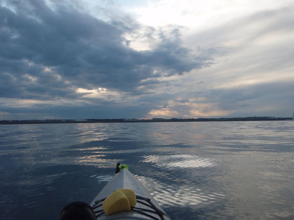 P4110291.jpg
