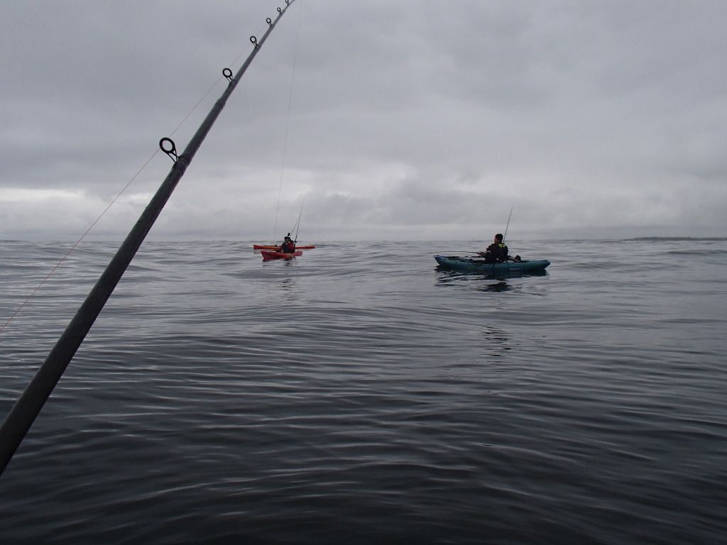P7100017.jpg
