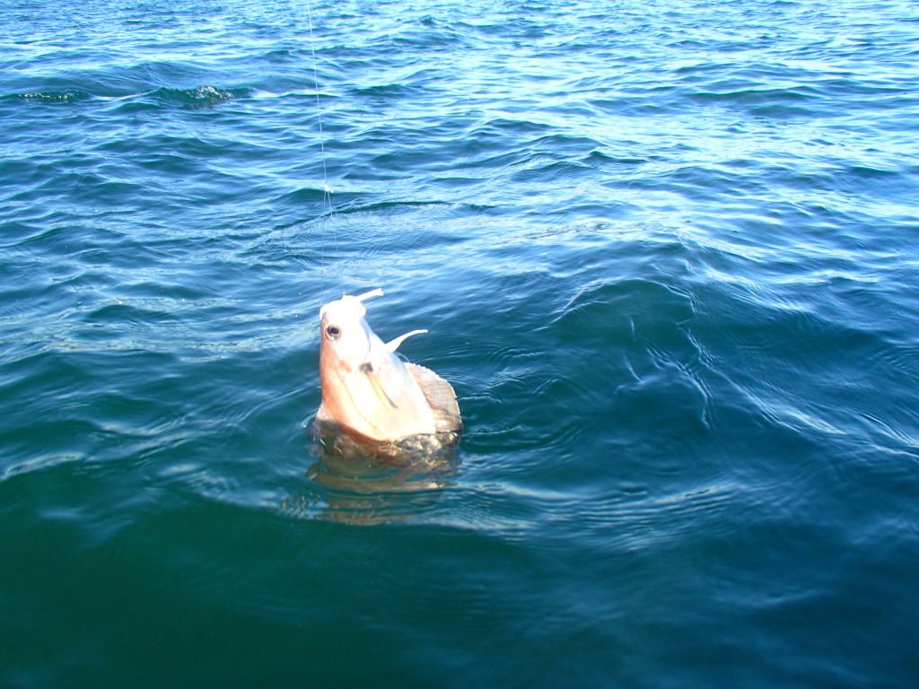 PA070011.jpg