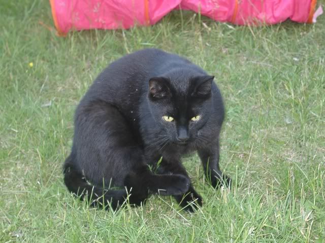 KatersGarten072.jpg