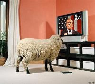 bush_sheep.jpg