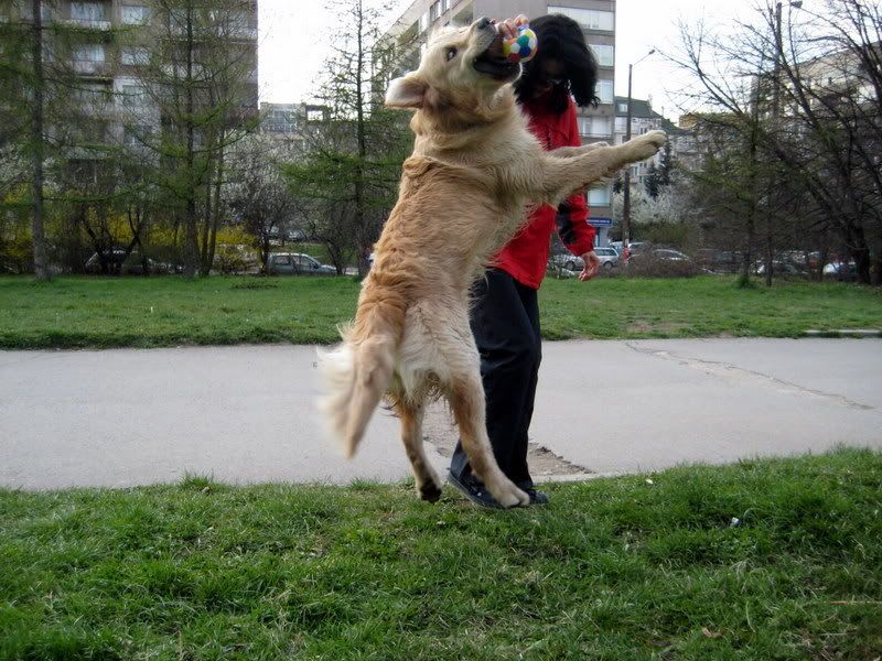Качена снимка