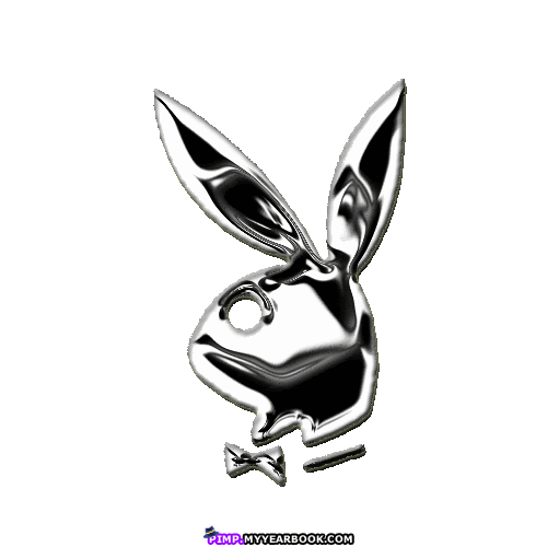 silver playbo bunny Image