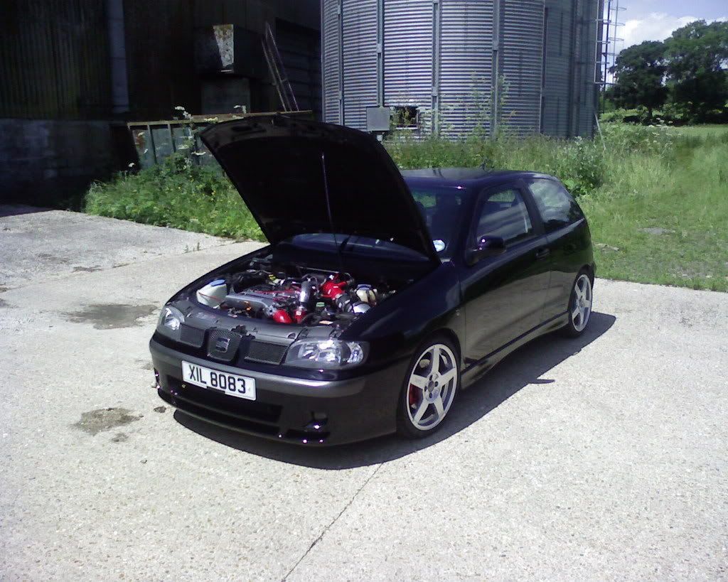 bonnet.jpg