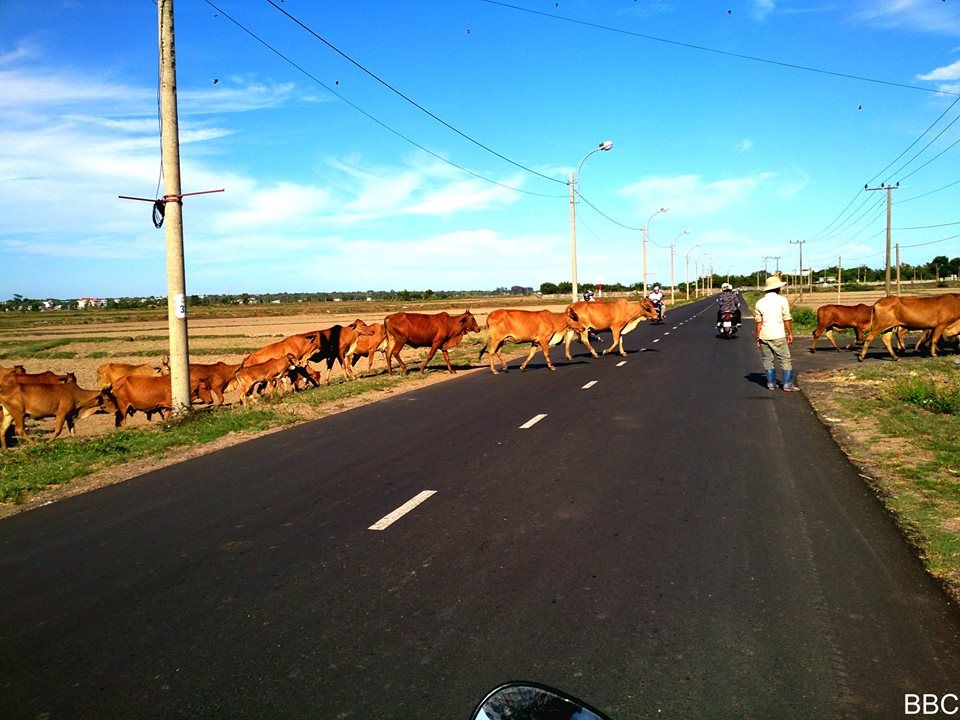 Tập tành chụp ảnh ^__^ - 3