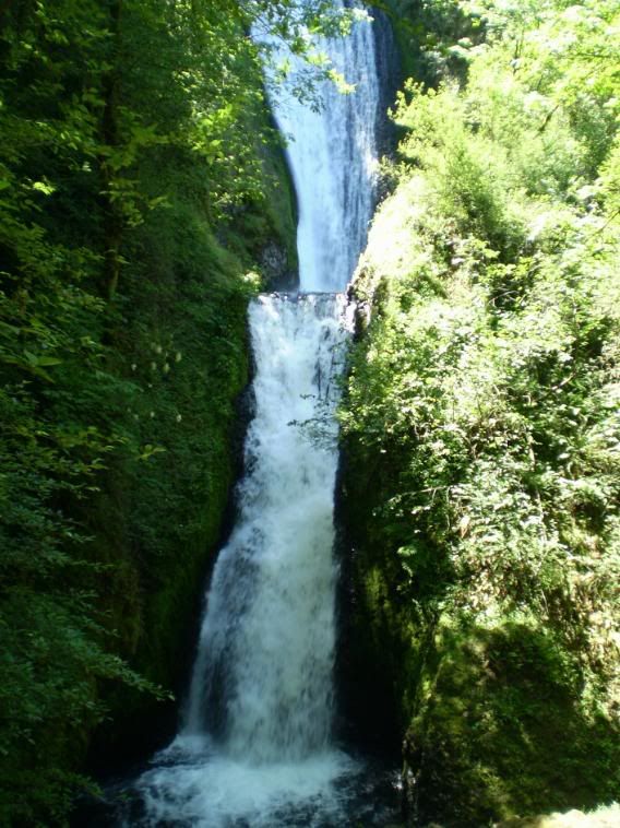 Pretty Scenery Pictures, Images...