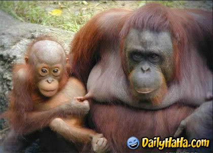 purple nurple photo: purple nurple monkey_purple_nurple.jpg