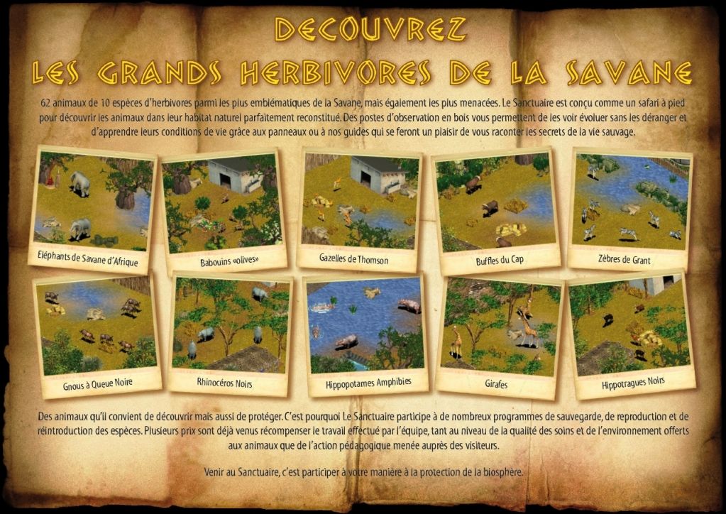 FLYER1-3animaux.jpg