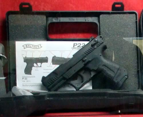 zP22.jpg