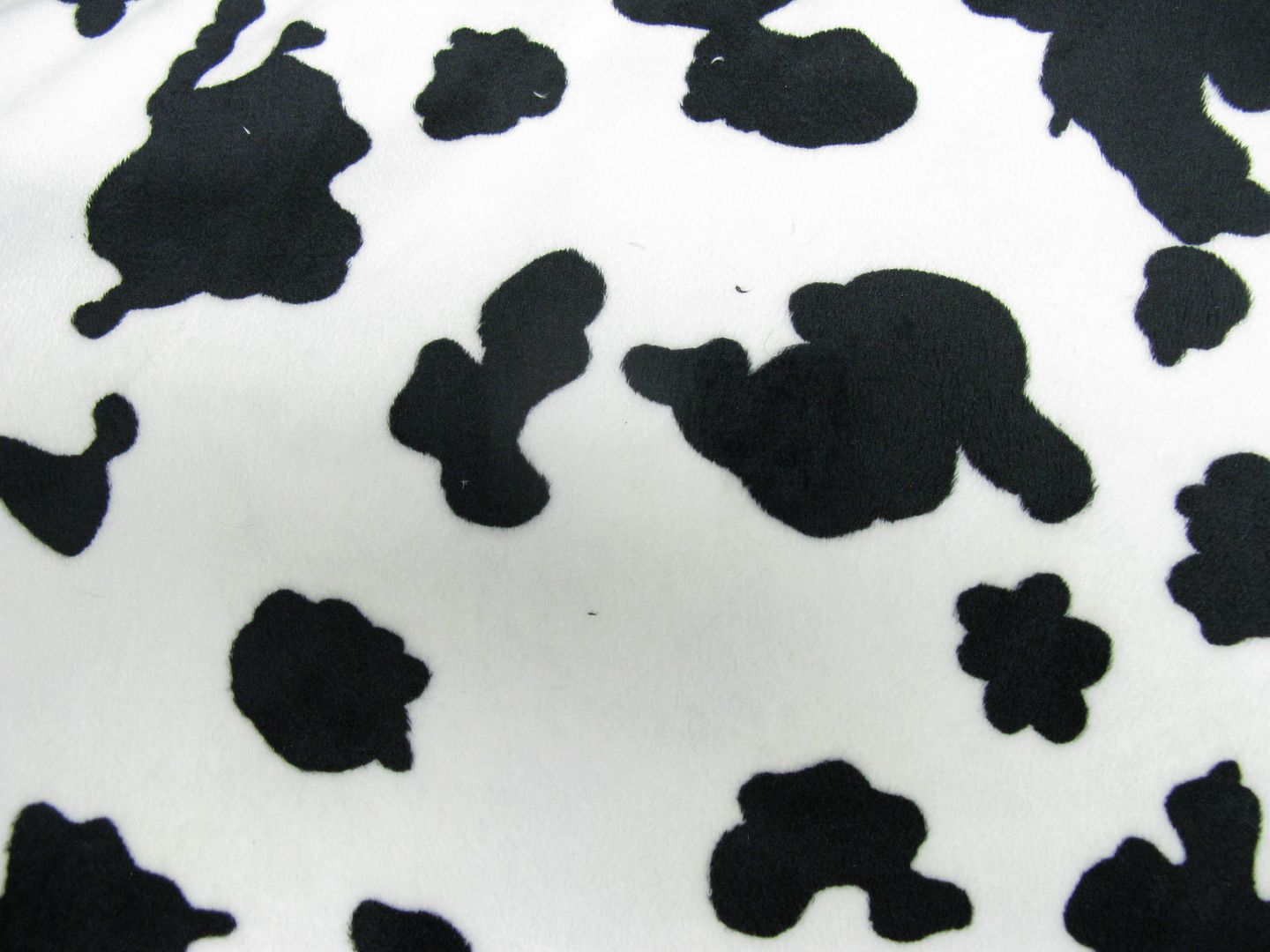 7.3yd x 60" Black & White Cow - MINKY fabric