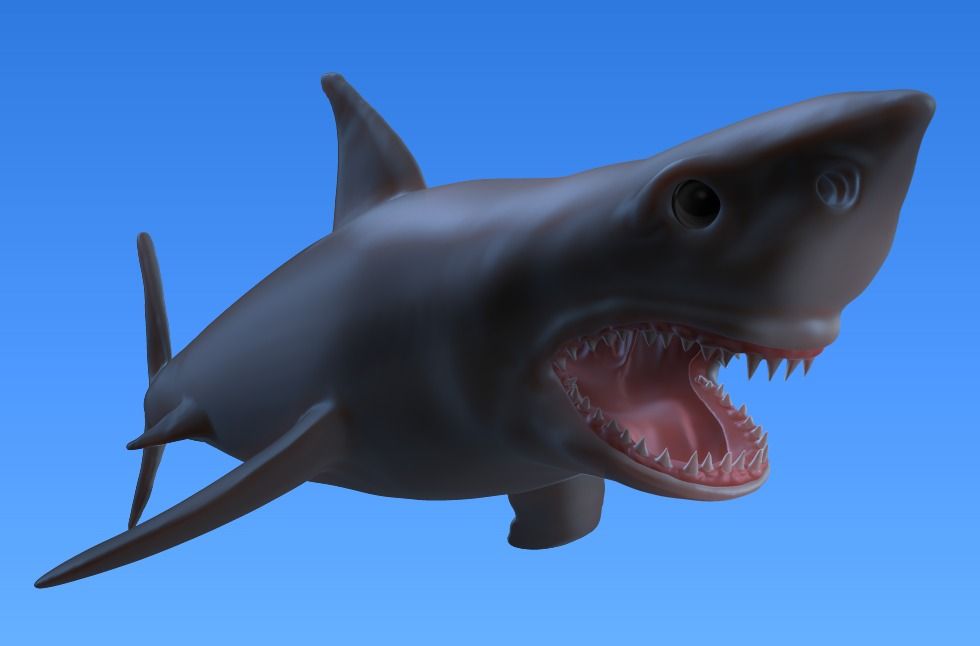shark-1.jpg