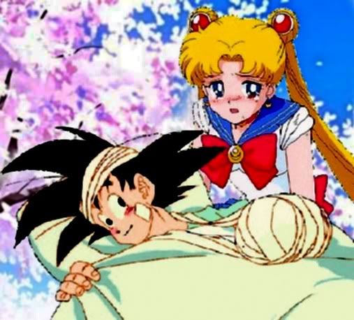 Son Goku And Usagi Serena Tsukino Sailor Moon Dragon Ball Anime Couple