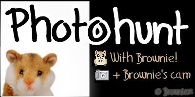 Fun Photohunts each saturday featuring Brownie!
