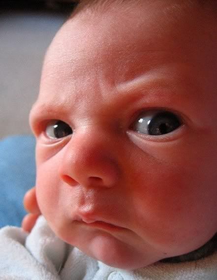 angry_baby.jpg angry baby image by dudewtfhax