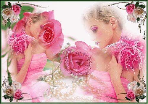 pink rose lady