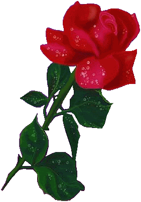 ROSAS Y FLORES CON MOVIMIENTO Y BRILLO :: 13.gif picture by ...