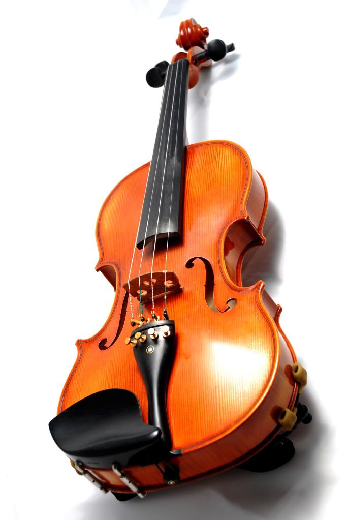 DSC_4776.jpg?t=1240933025