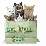 Get Well Soon Pictures, Images and Photos
