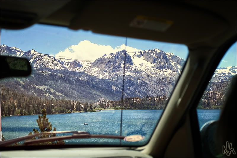 IMAGE: http://i283.photobucket.com/albums/kk294/czechcanary/IMG_0707sf.jpg