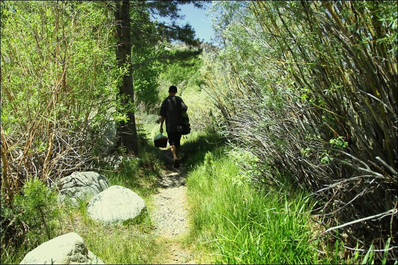 IMAGE: http://i283.photobucket.com/albums/kk294/czechcanary/IMG_0712sf.jpg