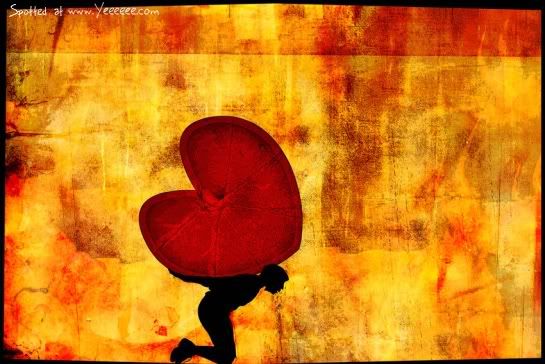 imagenes imagenes