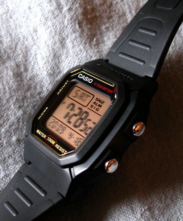 Casio W800H