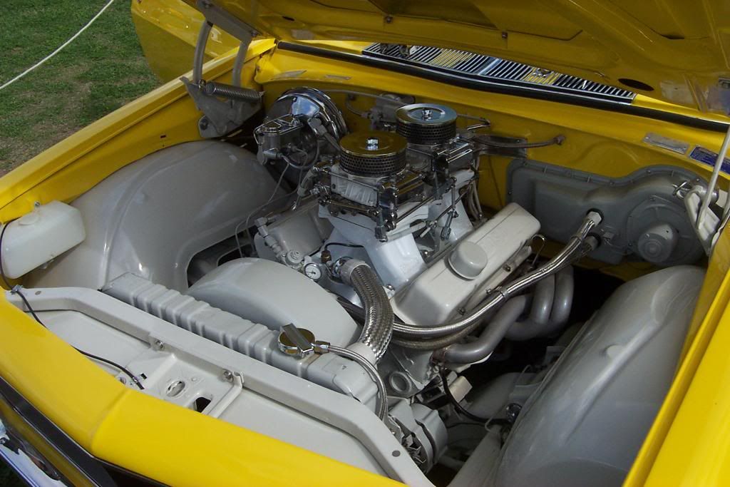 Tropical look HQ show coupe