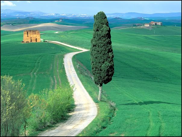 Country_Road_Tuscany_Italy.jpg picture by youngsphoto