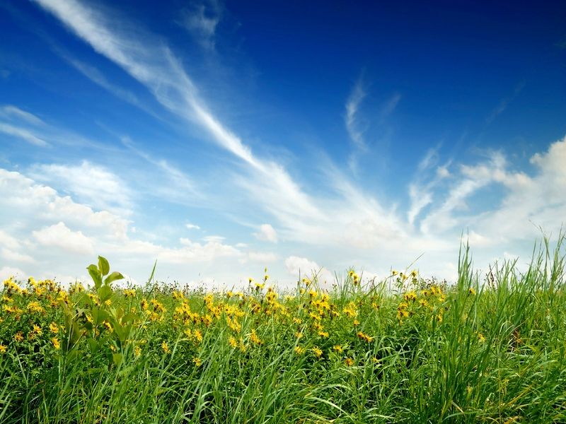  photo nature_0046_lightbox.jpg