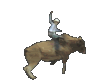 TORITO