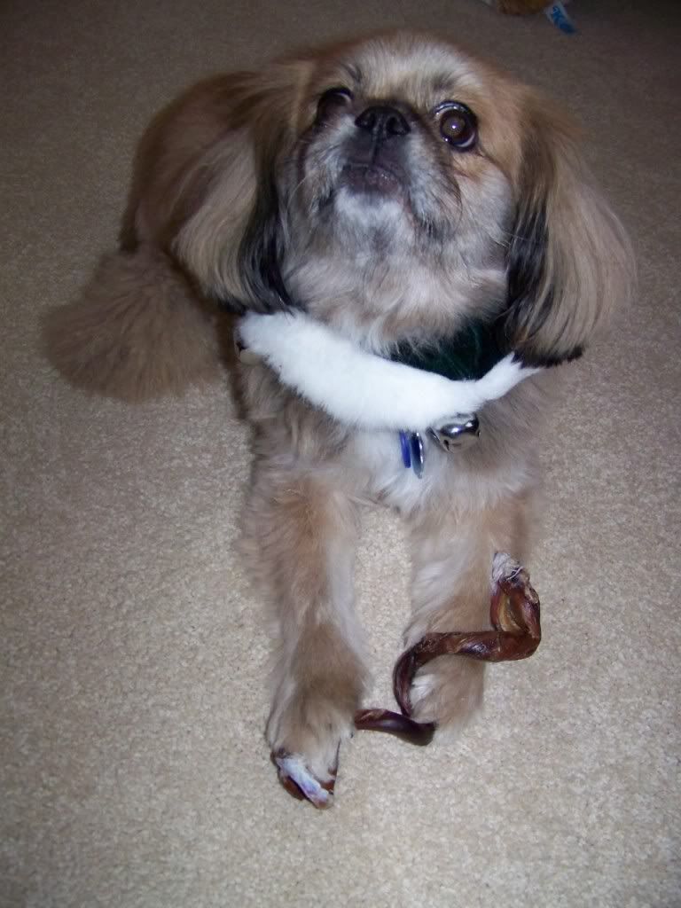 Picture044.jpg