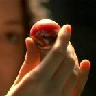 ballhand.jpg
