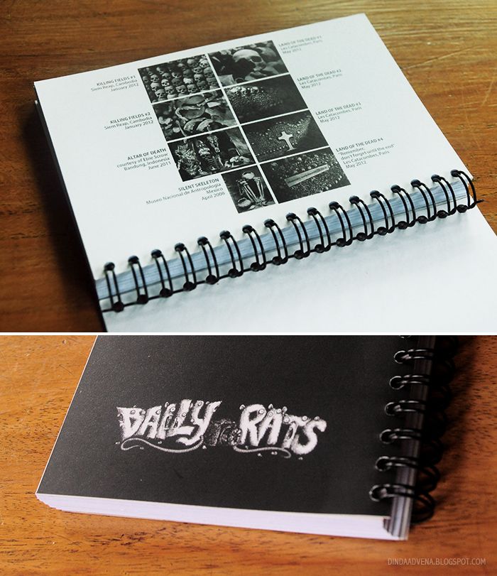  photo 11NotebookHereLiesSkullandSkeletoncredits-dailyrats.jpg