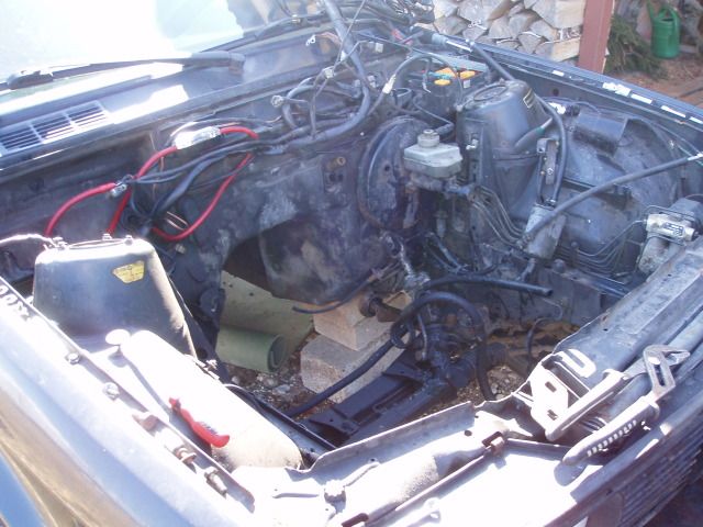 P4010011.jpg