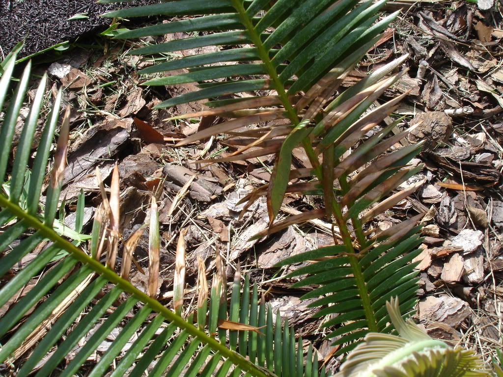 DSC02030.jpg