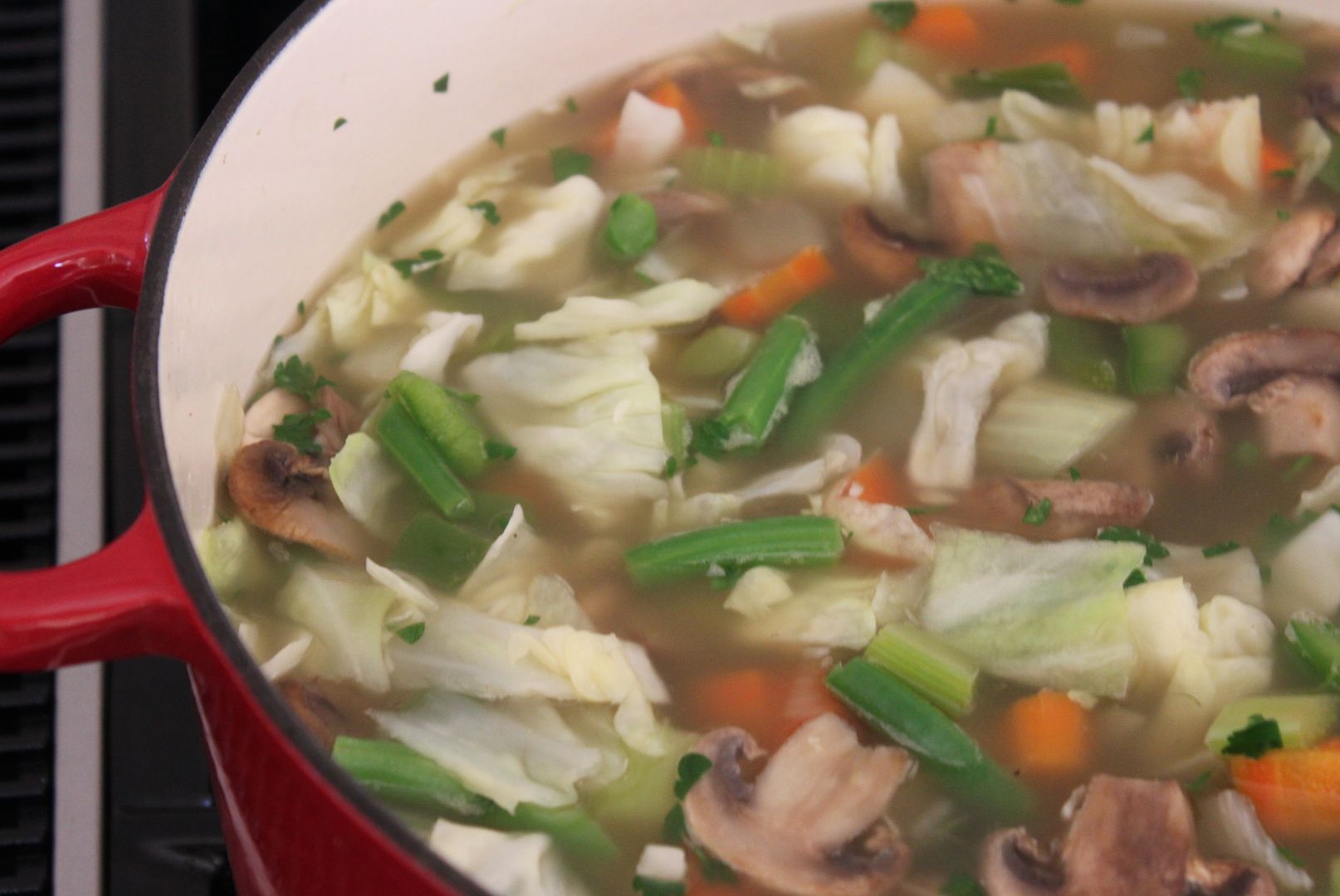Cabbage Soup Diet Results Review