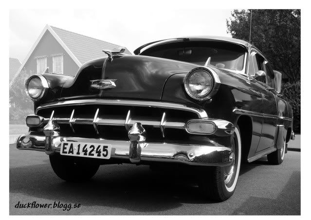 1954,chevrolet,chevy