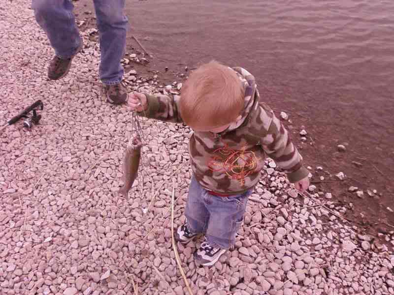 meadow creek pond Utah Wildlife Forum