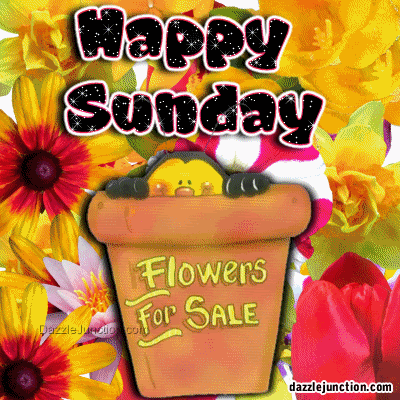happy sunday flowers Pictures, Images and Photos