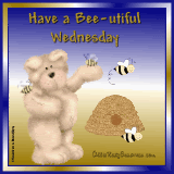have a bee fully wednesday Pictures, Images and Photos