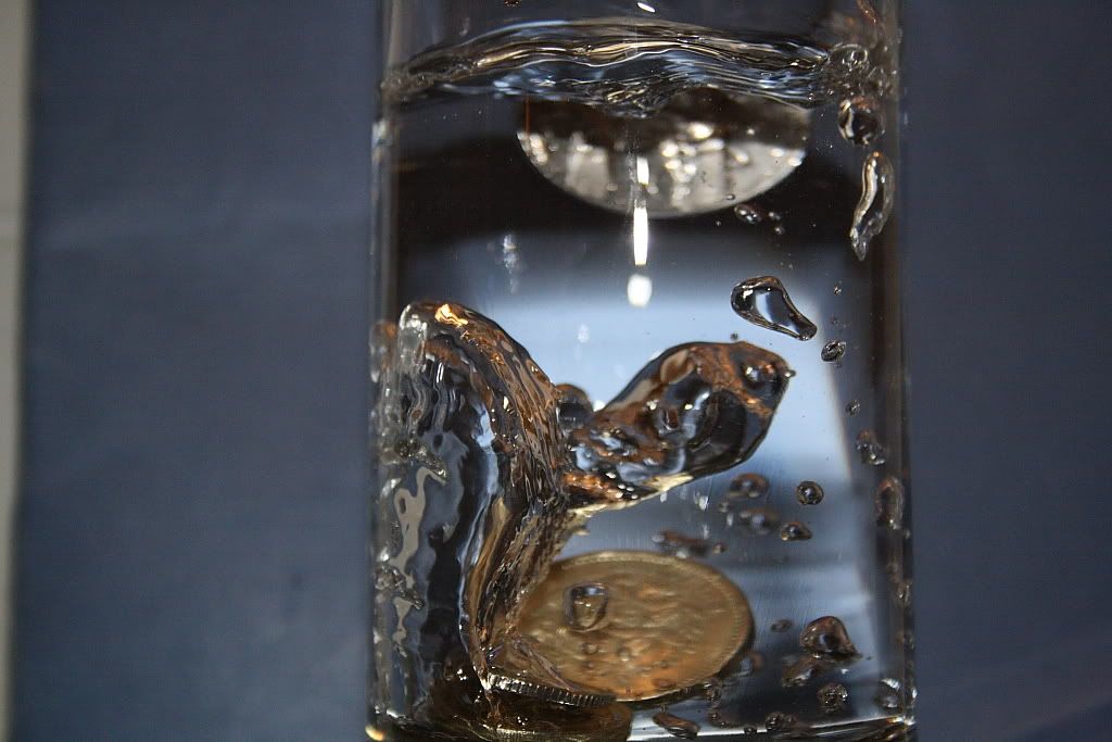 IMAGE: http://i283.photobucket.com/albums/kk305/weecamo/forum0060.jpg