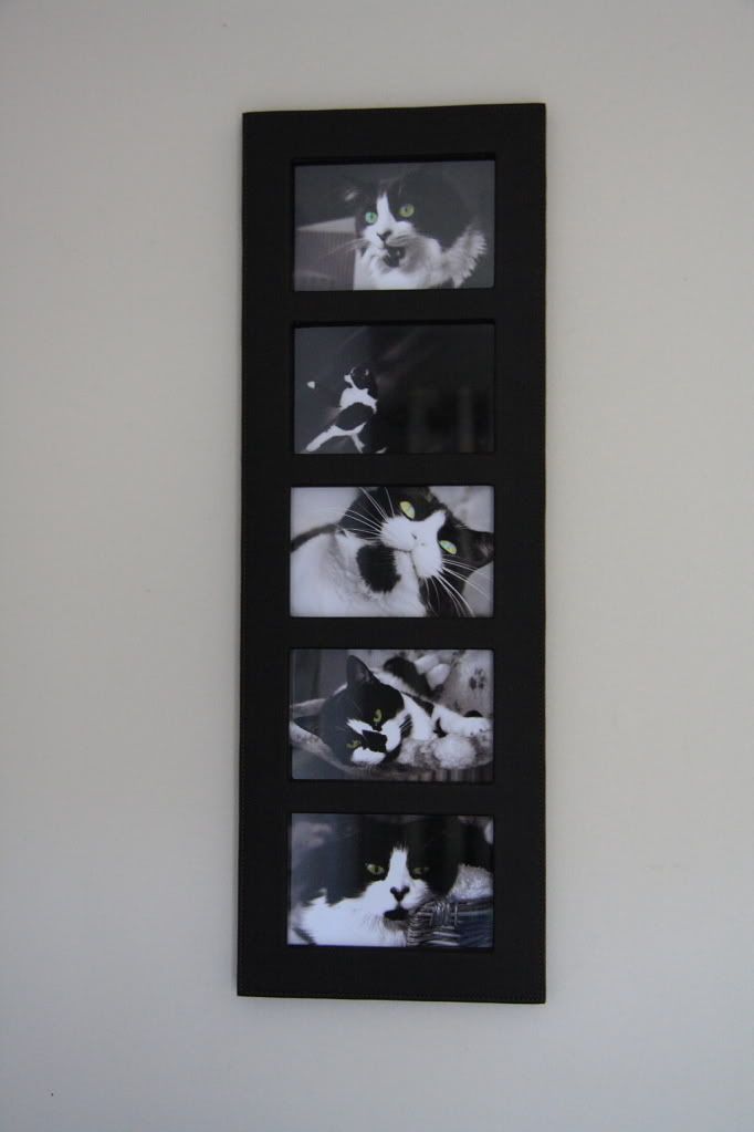 IMAGE: http://i283.photobucket.com/albums/kk305/weecamo/forum0119.jpg