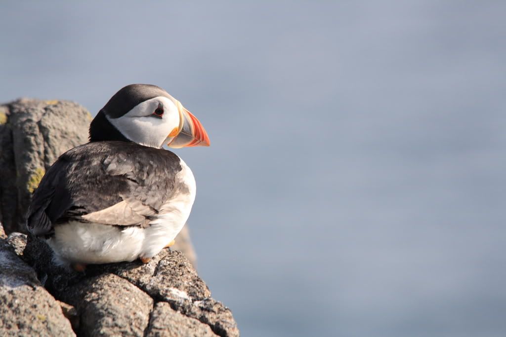 IMAGE: http://i283.photobucket.com/albums/kk305/weecamo/forum0163.jpg