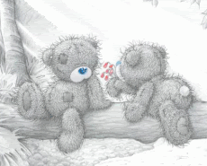 [img width=230 height=185]http://i283.photobucket.com/albums/kk306/krabbelgek/plaatjes/dieren/beren/beren_30.gif[/img]