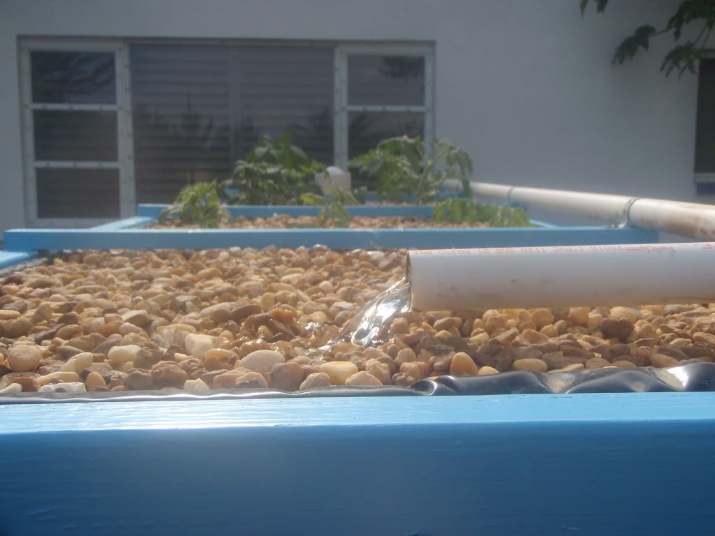 Aquaponics Biofilter