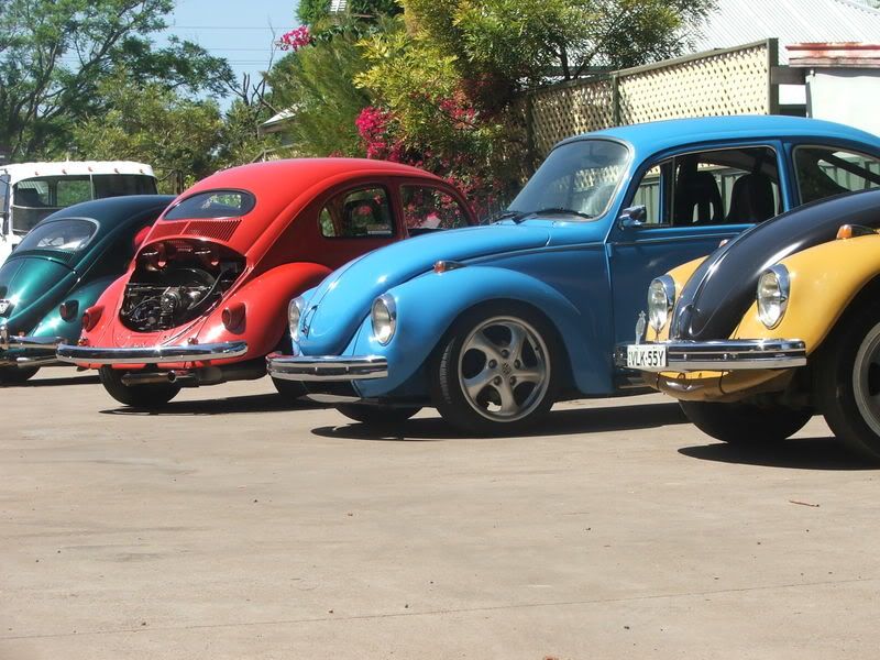 http://i283.photobucket.com/albums/kk307/VLK55Y/Dyno%20Day%202009/2009_02070038.jpg